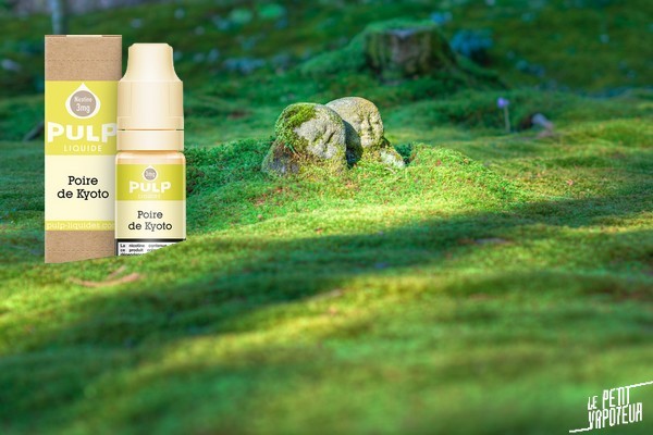 sondage-e-liquide-blog-le-petit-vapoteur (2)